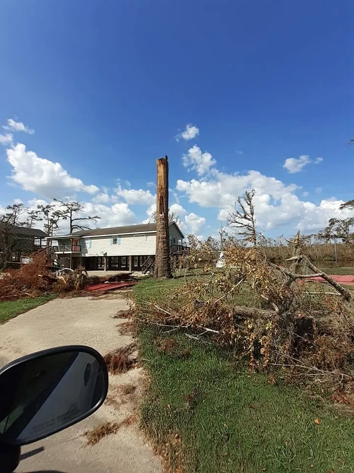 Single bare trunk standing in a yard beside a house after limbs came down